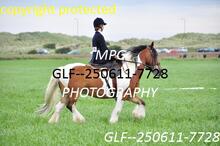 GLF--250611-7728