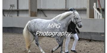 Show Day at Blue Sky Equestrian on Sunday 23 09 2012