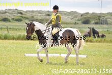 GLF-DSG-230613-1558