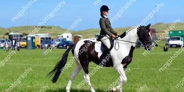 Summer Show Rings 123 at Gloucester Lodge farm on Sunday 16 08 2015