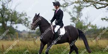 2 - Riding Club Horse 14 2 hh and over