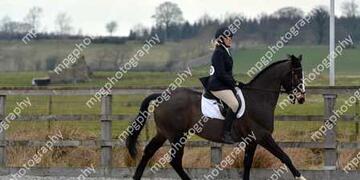 Dressage at Pastures New on Sunday 20 03 2016