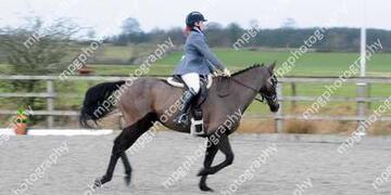 Dressage at Pastures New on Sunday 21 02 2016