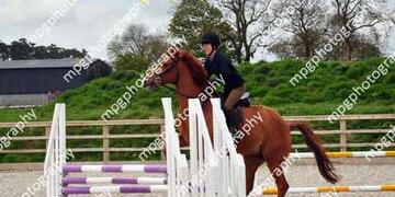 Clear Round at Pastures New EC on 15 05 2010