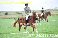 GLF--250611-8226