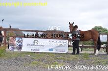 LF-BBDRC-300613-6028