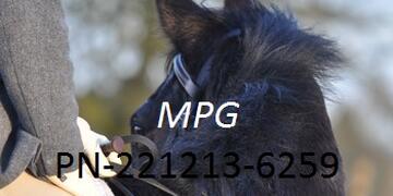 Dressage at Pastures New on Sunday 22 12 2013