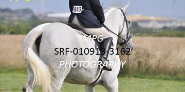 Dressage at Seaton Red House on Sunday 01 09 2013