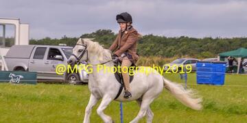 Summer Show at Gloucester Lodge on Sunday 18 08 2019 Cam 2