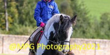 Hulne Park Ride at Alnwick on Sunday 03 10 2021