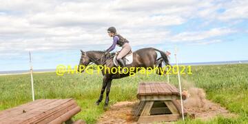 ODE at Gloucester Lodge Farm on Sunday 13 06 21