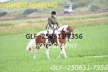 GLF--250611-7356